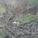Aerial View of Tree Farm NOV 2016